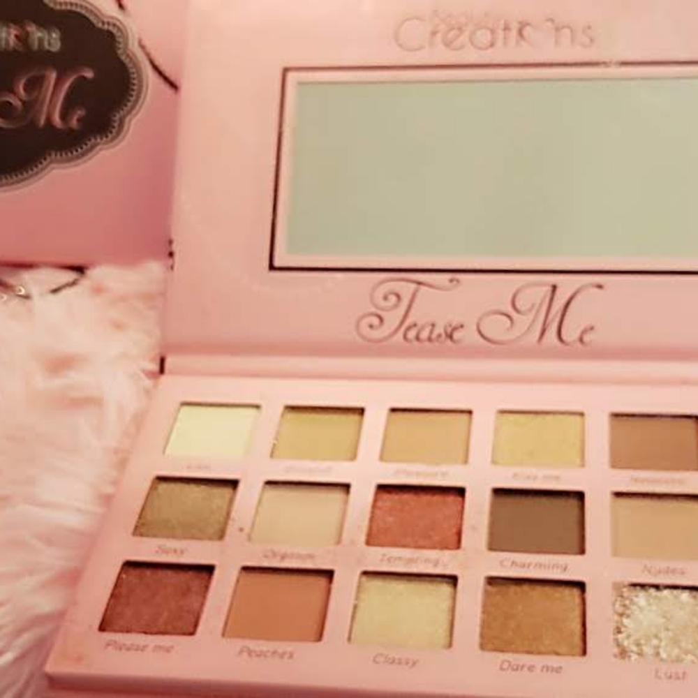 TEASE ME professional cosmetic eyeshadow palette